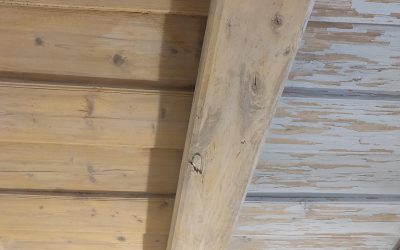 Egy fa födém újjászületése