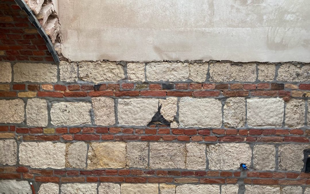 Grófi birtok Budán