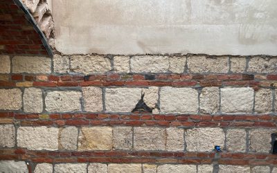 Grófi birtok Budán